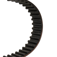 RIDEX 306T0100P - Correa dentada