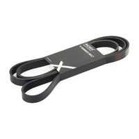 RIDEX 305P0531 - Correa trapecial poli V