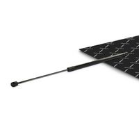 RIDEX 219G1085 - Muelle neumático, maletero/compartimento de carga