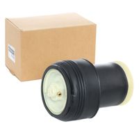 RIDEX 4119A0006 - Muelle neumático, suspensión