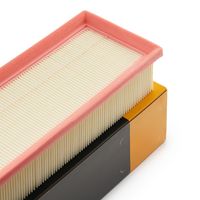 RIDEX 8A0897 - Filtro de aire
