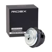 RIDEX 247E0124 - Soporte, motor