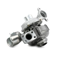 RIDEX 2234C0016 - Turbocompresor, sobrealimentación