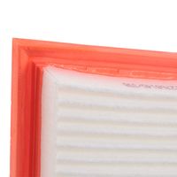 RIDEX 8A0645 - Filtro de aire