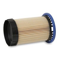 RIDEX 9F0198 - Filtro combustible
