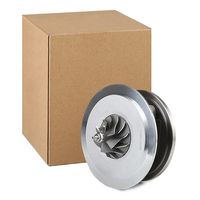 RIDEX 4973C0021 - Conjunto de piezas, turbocompresor