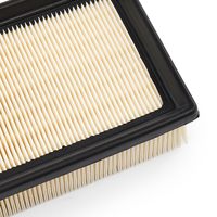 RIDEX 8A0553 - Filtro de aire
