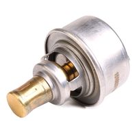 RIDEX 316T0215 - Termostato, refrigerante