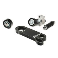 RIDEX 542R0065 - Juego de correas trapeciales poli V