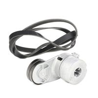 RIDEX 542R0181 - Juego de correas trapeciales poli V