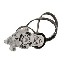 RIDEX 542R0211 - Juego de correas trapeciales poli V