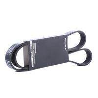RIDEX 305P0409 - Correa trapecial poli V