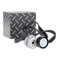 RIDEX 542R0301 - Juego de correas trapeciales poli V