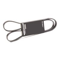 RIDEX 305P0417 - Correa trapecial poli V
