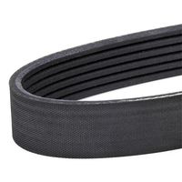 RIDEX 305P0428 - Correa trapecial poli V