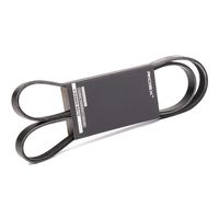 RIDEX 305P0433 - Correa trapecial poli V