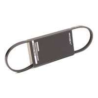 RIDEX 305P0435 - Correa trapecial poli V