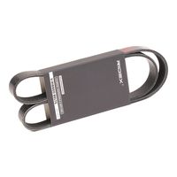 RIDEX 305P0439 - Correa trapecial poli V