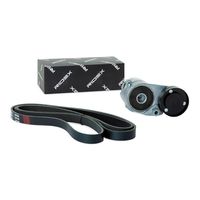 RIDEX 542R0485 - Juego de correas trapeciales poli V
