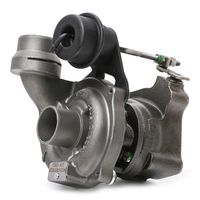 RIDEX 4973C0034 - Conjunto de piezas, turbocompresor