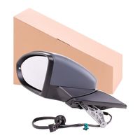 RIDEX 50O0484 - Retrovisor exterior