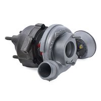 RIDEX 2234C10042 - Turbocompresor, sobrealimentación