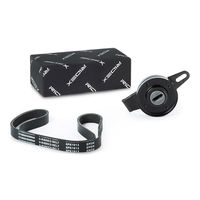 RIDEX 542R0551 - Juego de correas trapeciales poli V