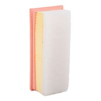 RIDEX 8A1622 - Filtro de aire