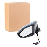 RIDEX 50O0873 - Retrovisor exterior