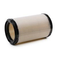 RIDEX 8A1174 - Filtro de aire