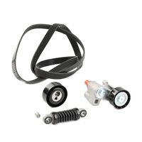 RIDEX 542R0639 - Juego de correas trapeciales poli V