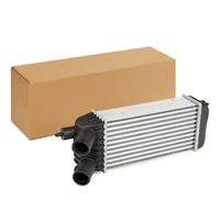 RIDEX 468I0399 - Radiador de aire de admisión