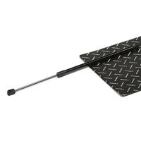 RIDEX 219G1013 - Muelle neumático, maletero/compartimento de carga