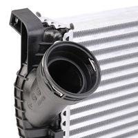 RIDEX 468I0104 - Radiador de aire de admisión