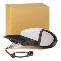 RIDEX 50O0555 - Retrovisor exterior