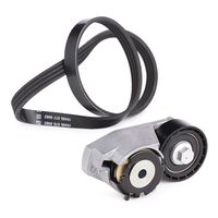 RIDEX 542R0521 - Juego de correas trapeciales poli V