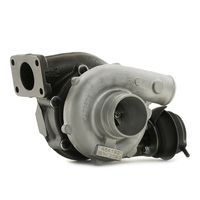 RIDEX 2234C0456 - Turbocompresor, sobrealimentación