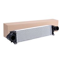 RIDEX 468I0148 - Radiador de aire de admisión