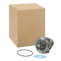 RIDEX 4973C0081 - Conjunto de piezas, turbocompresor