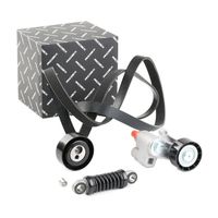 RIDEX 542R0571 - Juego de correas trapeciales poli V