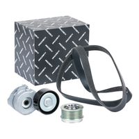 RIDEX 542R0172 - Juego de correas trapeciales poli V