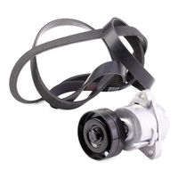 RIDEX 542R0671 - Juego de correas trapeciales poli V