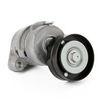 RIDEX 540T0018 - Brazo tensor, correa poli V