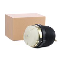 RIDEX 4119A0025 - Muelle neumático, suspensión