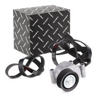 RIDEX 542R0112 - Juego de correas trapeciales poli V