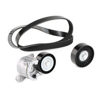 RIDEX 542R0128 - Juego de correas trapeciales poli V