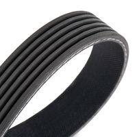 RIDEX 542R0133 - Juego de correas trapeciales poli V