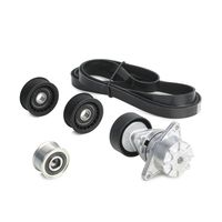 RIDEX 542R0191 - Juego de correas trapeciales poli V