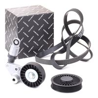 RIDEX 542R0213 - Juego de correas trapeciales poli V