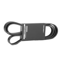 RIDEX 305P0410 - Correa trapecial poli V
